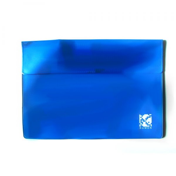 Flap Wallets - 4200