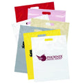 Brochure Bag - Plastic - 1515